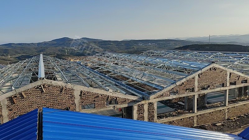 钢结构厂房造价多少钱一平米？2026年最新价格预测