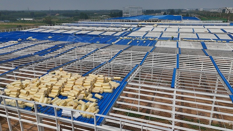 蔚蓝钢结构丨河南玛恩钢结构厂房建造案例