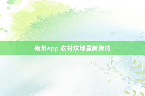 德州app 农村坟地最新策略