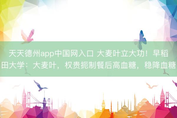 天天德州app中国网入口 大麦叶立大功！早稻田大学：大麦叶，权贵扼制餐后高血糖，稳降血糖