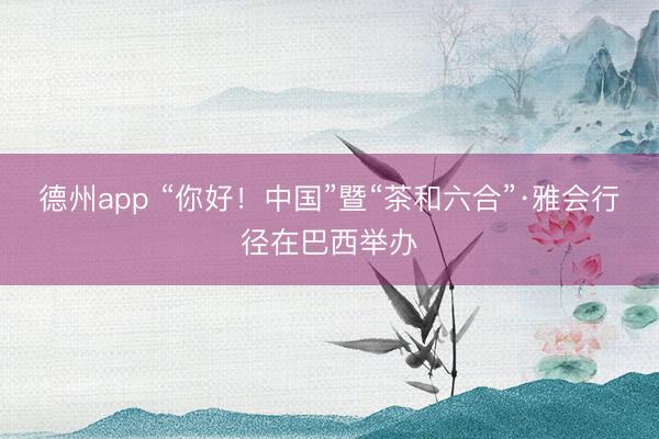 德州app “你好！中国”暨“茶和六合”·雅会行径在巴西举办