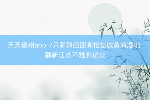 天天德州app 7只彩鹮组团亮相盐城黄海湿地 刷新江苏不雅测记载