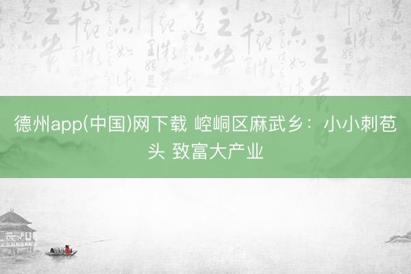 德州app(中国)网下载 崆峒区麻武乡：小小刺苞头 致富大产业