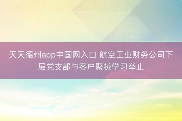 天天德州app中国网入口 航空工业财务公司下层党支部与客户聚拢学习举止