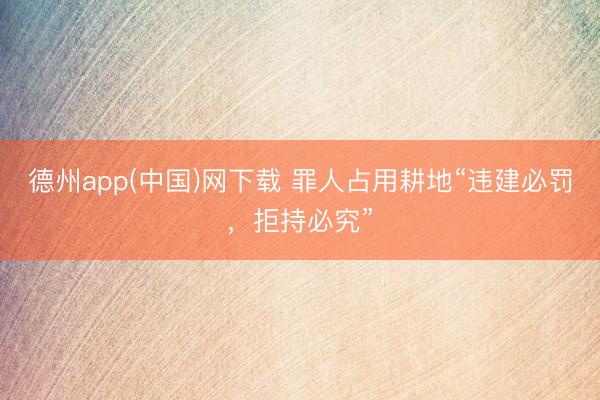 德州app(中国)网下载 罪人占用耕地“违建必罚，拒持必究”