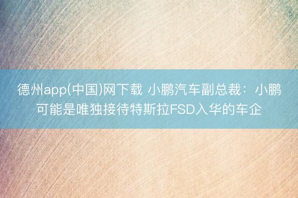 德州app(中国)网下载 小鹏汽车副总裁：小鹏可能是唯独接待特斯拉FSD入华的车企