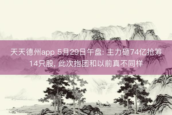 天天德州app 5月29日午盘: 主力砸74亿抢筹14只股， 此次抱团和以前真不同样