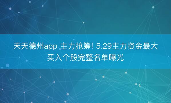 天天德州app 主力抢筹! 5.29主力资金最大买入个股完整名单曝光