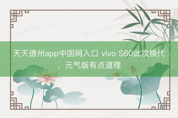 天天德州app中国网入口 vivo S60此次换代，元气版有点道理