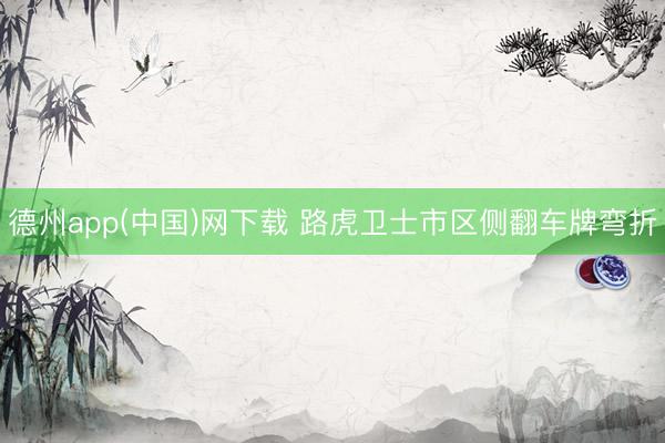 德州app(中国)网下载 路虎卫士市区侧翻车牌弯折