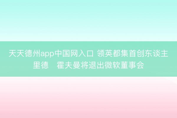 天天德州app中国网入口 领英都集首创东谈主里德・霍夫曼将退出微软董事会