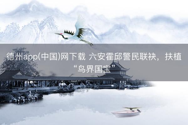 德州app(中国)网下载 六安霍邱警民联袂，扶植“鸟界国宝”