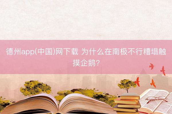 德州app(中国)网下载 为什么在南极不行糟塌触摸企鹅?
