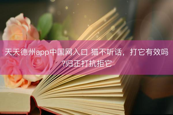 天天德州app中国网入口 猫不听话，打它有效吗?归正打抗拒它