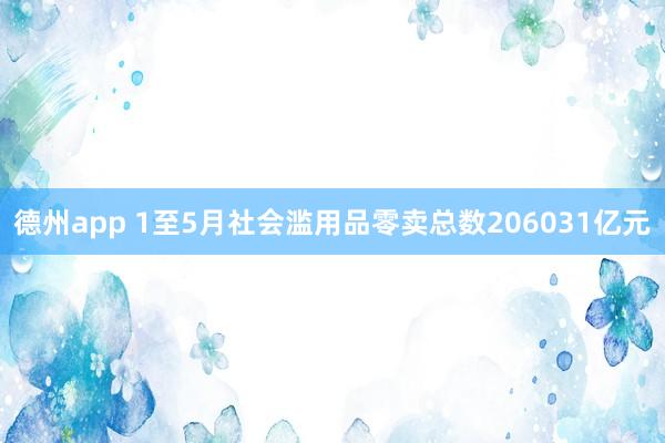 德州app 1至5月社会滥用品零卖总数206031亿元