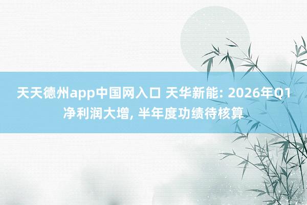 天天德州app中国网入口 天华新能: 2026年Q1净利润大增, 半年度功绩待核算