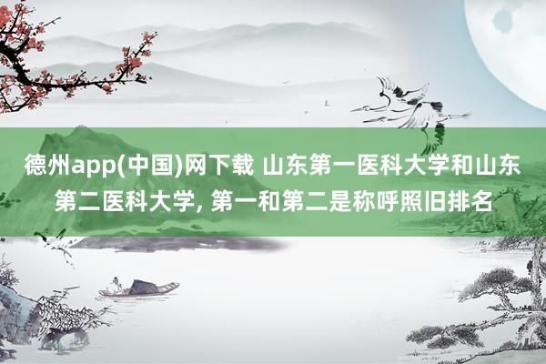 德州app(中国)网下载 山东第一医科大学和山东第二医科大学， 第一和第二是称呼照旧排名